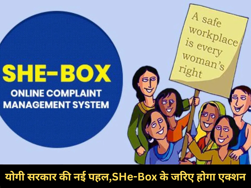 SHe-Box portal,