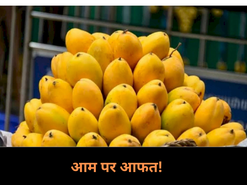Indian export