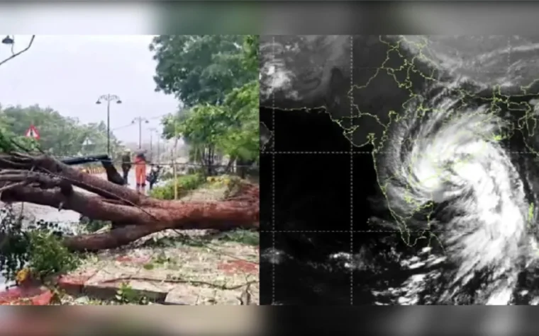 चक्रवात अर्नब तबाही के बाद कोनासीमा में गिरे हुए पेड़ और राहत कार्य में जुटी टीमें
